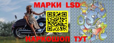 apvp Свободный