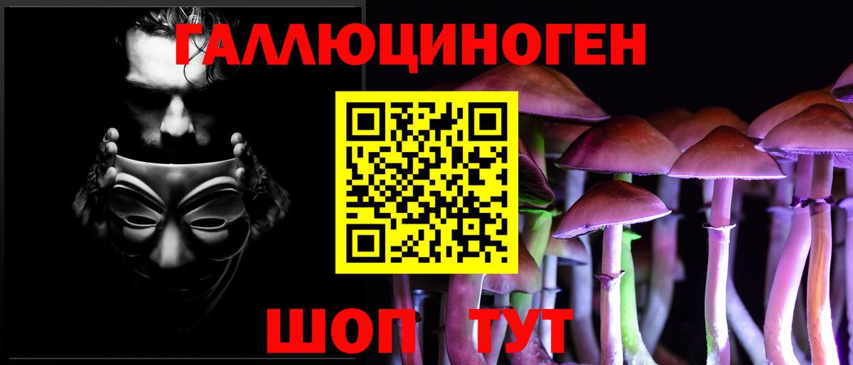 Озёрск  Псилоцибиновые грибы MAGIC MUSHROOMS  Вход с VPN 